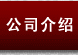 公司介绍