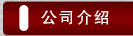 公司介绍
